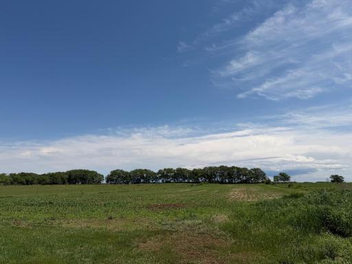 17504 231st Avenue, Long Prairie, MN 56347