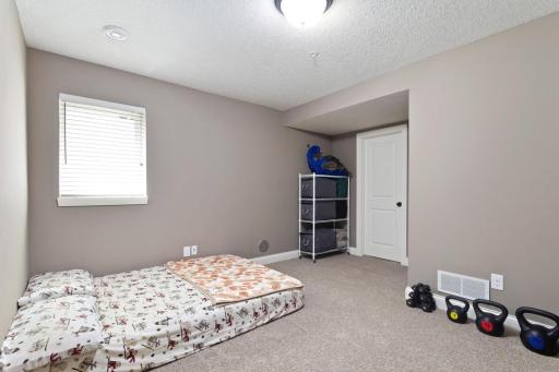 4th Bedroom lower level with large walk in closet
