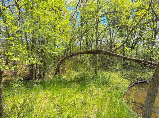 212XX Franklin Road, Clearwater, MN 55320