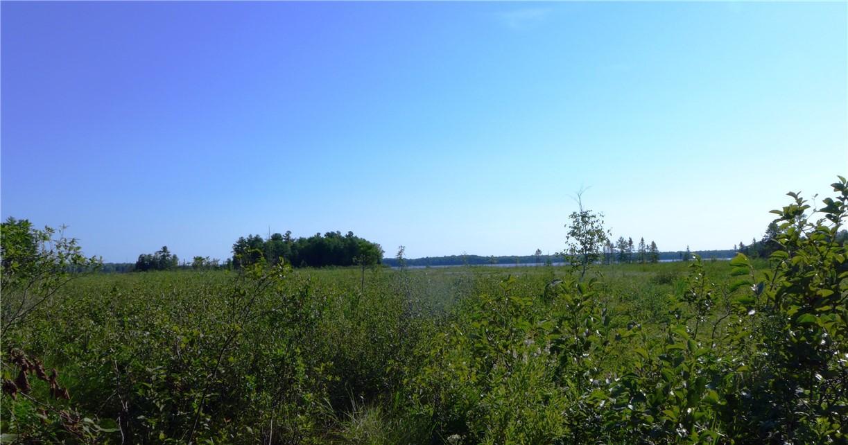 Ewert pic.JPG