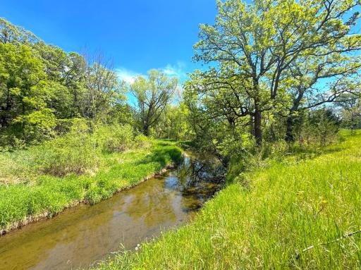 Follow the gentle flow of Plum Creek as it winds through this beautiful countryside setting with rich landscape.