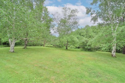 4244 72nd Street NW, Walker, MN 56484