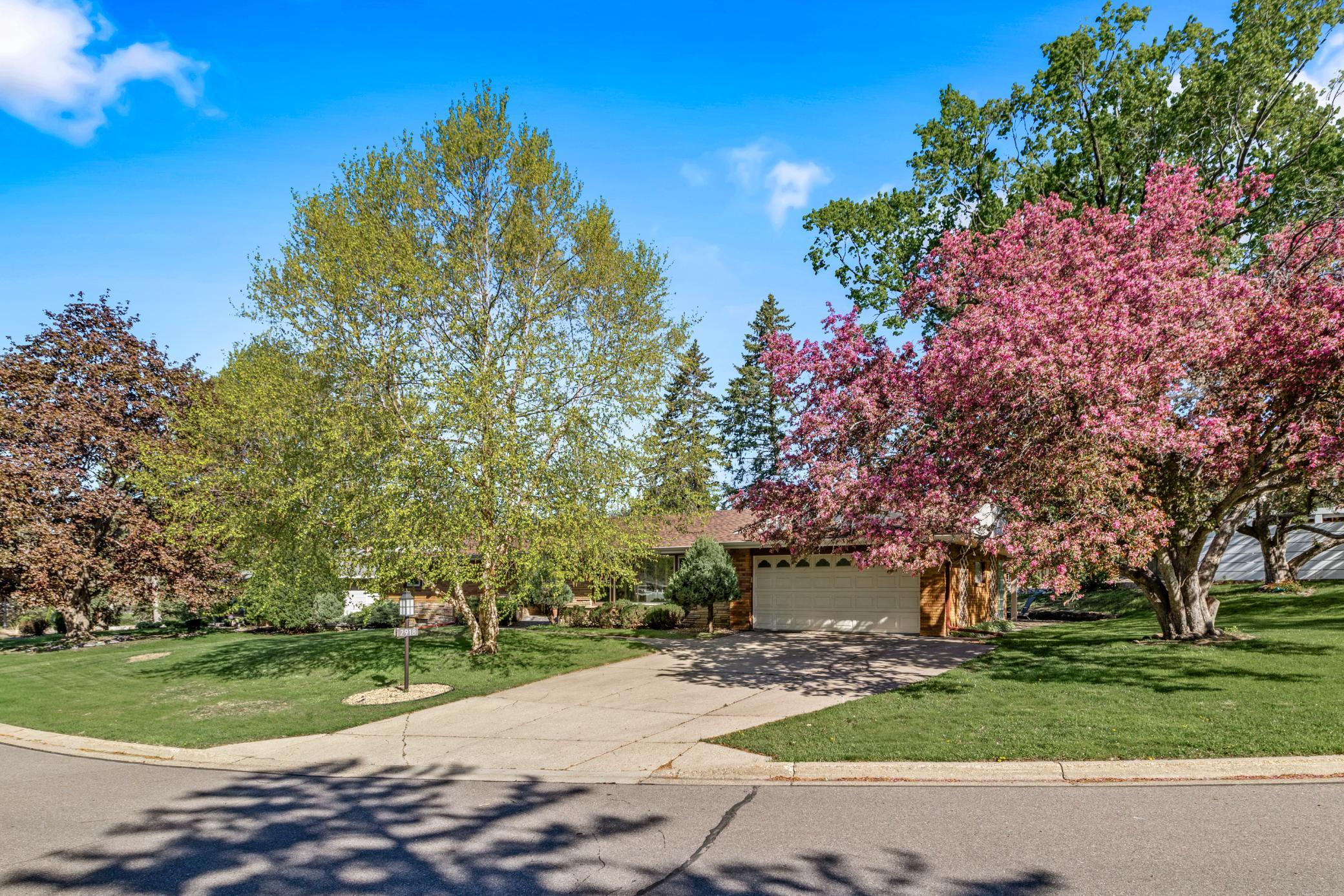 Front yard in the springtime.