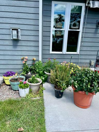 36074 Long Shore Trail, Frazee, MN 56544