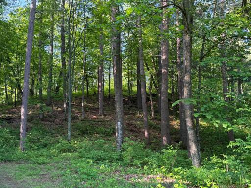 4417 Robin Lane NW, Hackensack, MN 56452