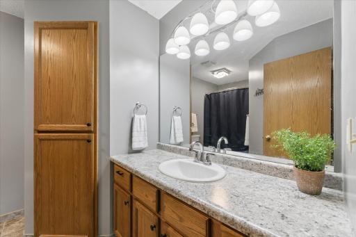 13088 Vintage Street NW, Minneapolis, MN 55448