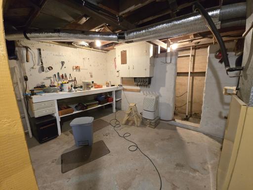Farm House Basement 1.jpg