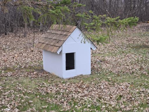 Dog House.jpg