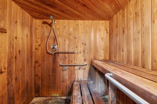 Sauna and shower. Needs a new sauna stove.