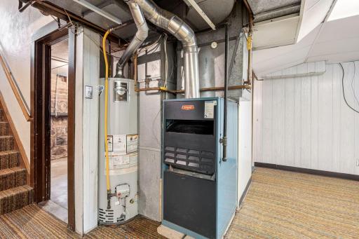 Water heater is newer and the furnace is regularly maintained and serviced
