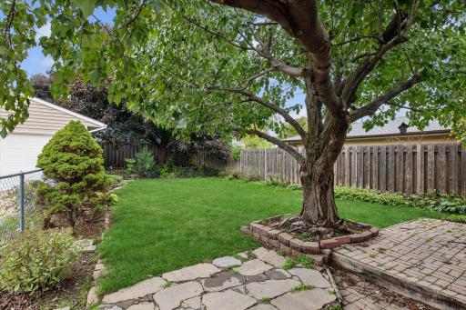 Fully fenced in backyard with 2 Patio areas