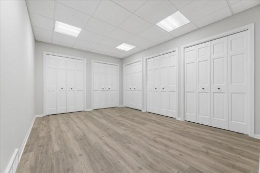 Lower Level Bonus Room. Incredible Storage