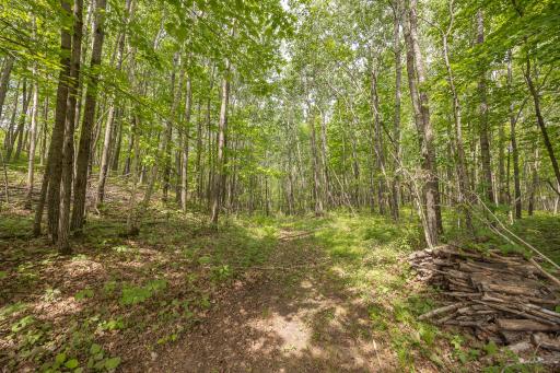 3677 County 54 NE, Longville, MN 56655