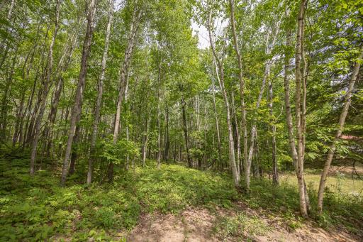 3677 County 54 NE, Longville, MN 56655