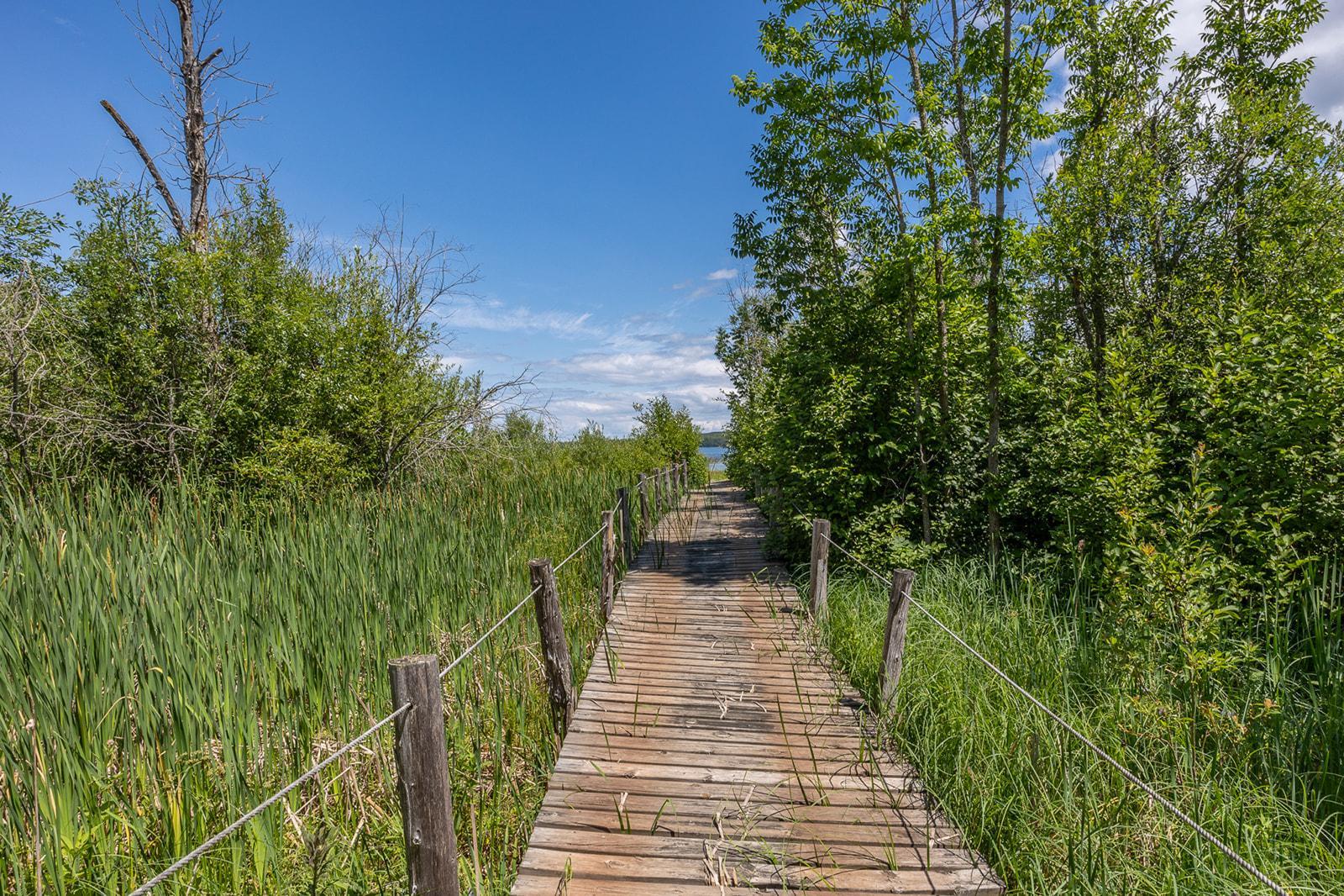 Little Boy Access