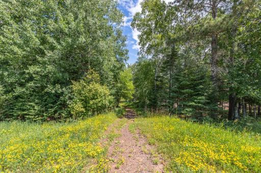 3677 County 54 NE, Longville, MN 56655