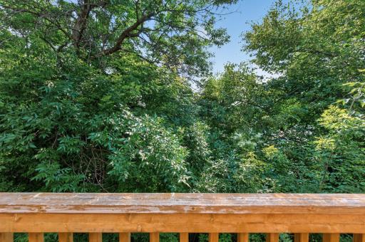 3575 York Drive, Woodbury, MN 55125