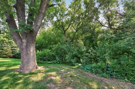 3575 York Drive, Woodbury, MN 55125