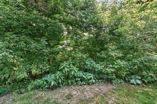 3575 York Drive, Woodbury, MN 55125