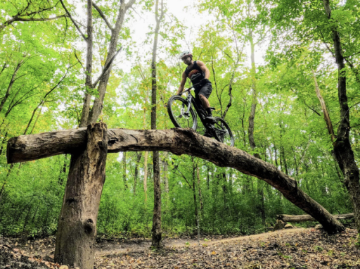 Sunfish Lake Park - Mountain bike trails.PNG