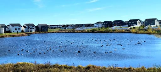 We're speechless when it comes to this water view in the neighborhood... "The Preserve" is the charming community you deserve!!! Did we mention there's no HOA in this neighborhood?