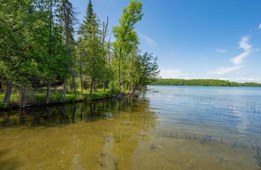 51301 Pine Point Road, Bigfork, MN 56628