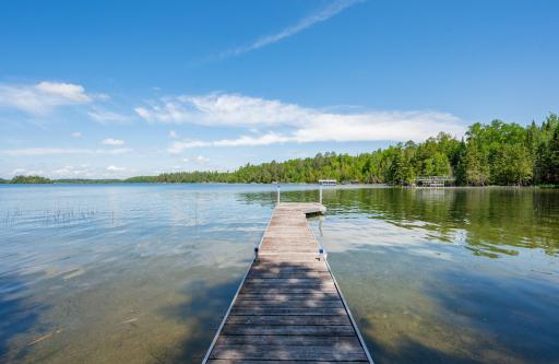 51301 Pine Point Road, Bigfork, MN 56628