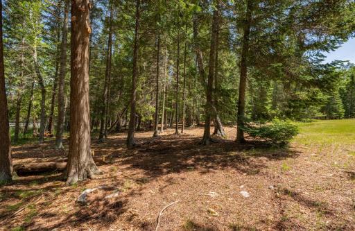 51301 Pine Point Road, Bigfork, MN 56628