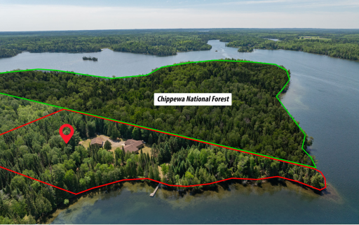 51301 Pine Point Road, Bigfork, MN 56628