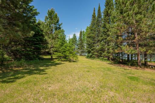51301 Pine Point Road, Bigfork, MN 56628
