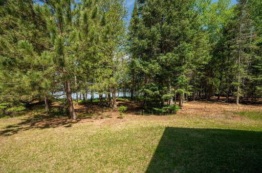 51301 Pine Point Road, Bigfork, MN 56628