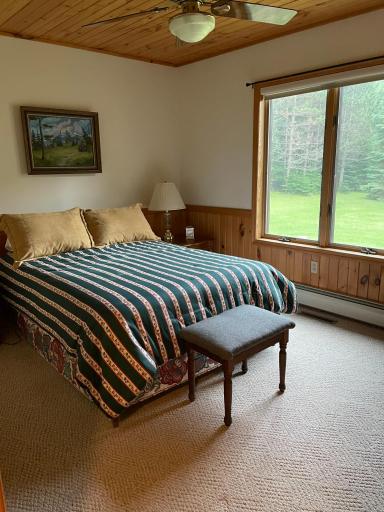 51301 Pine Point Road, Bigfork, MN 56628