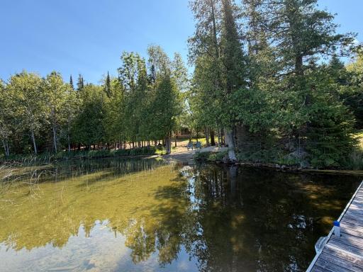 51301 Pine Point Road, Bigfork, MN 56628
