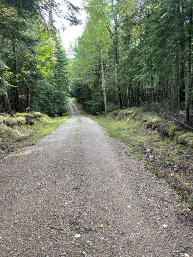 51301 Pine Point Road, Bigfork, MN 56628