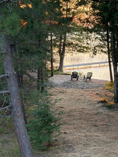 51301 Pine Point Road, Bigfork, MN 56628
