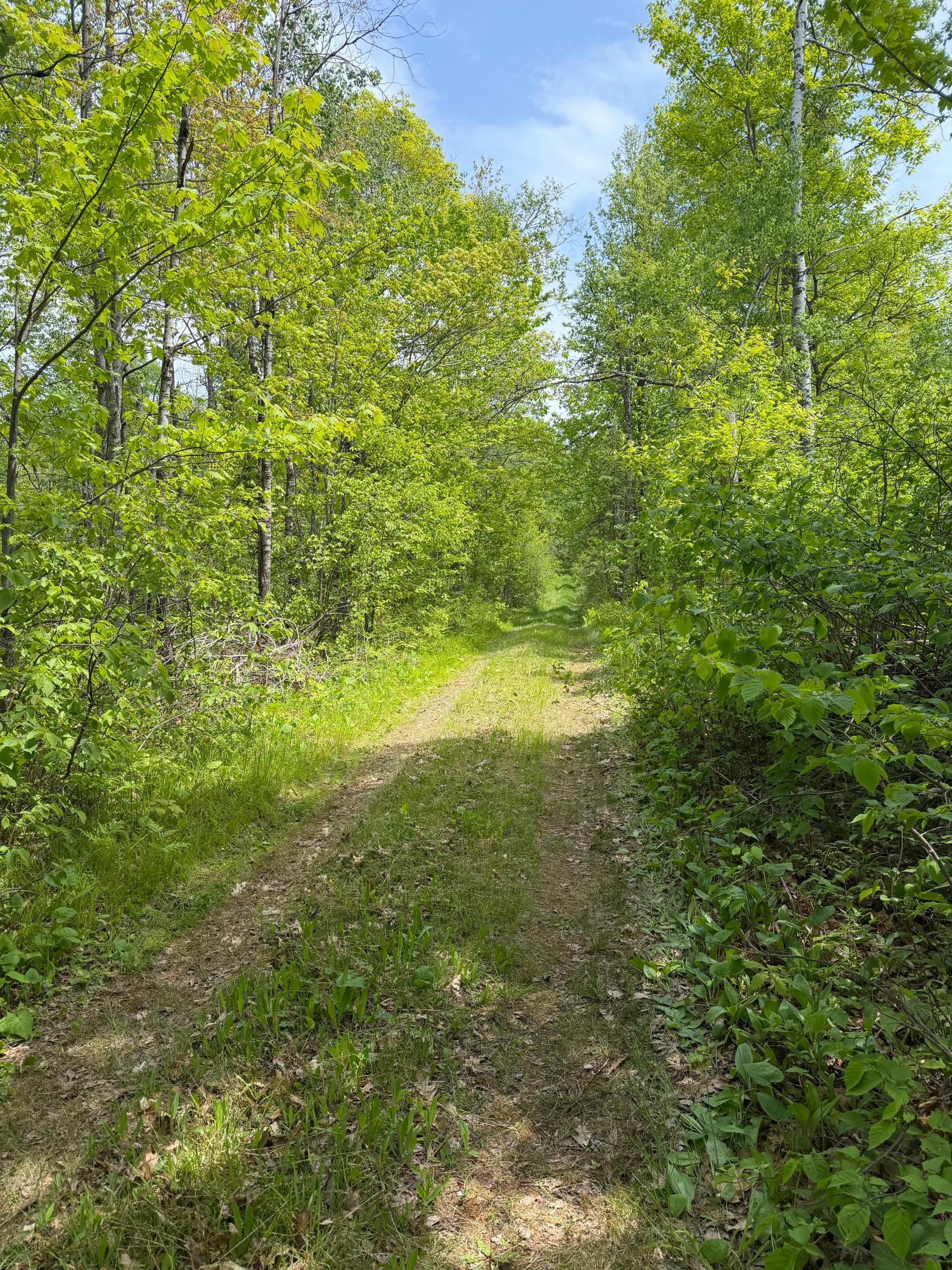 Property on the left looking further down/in