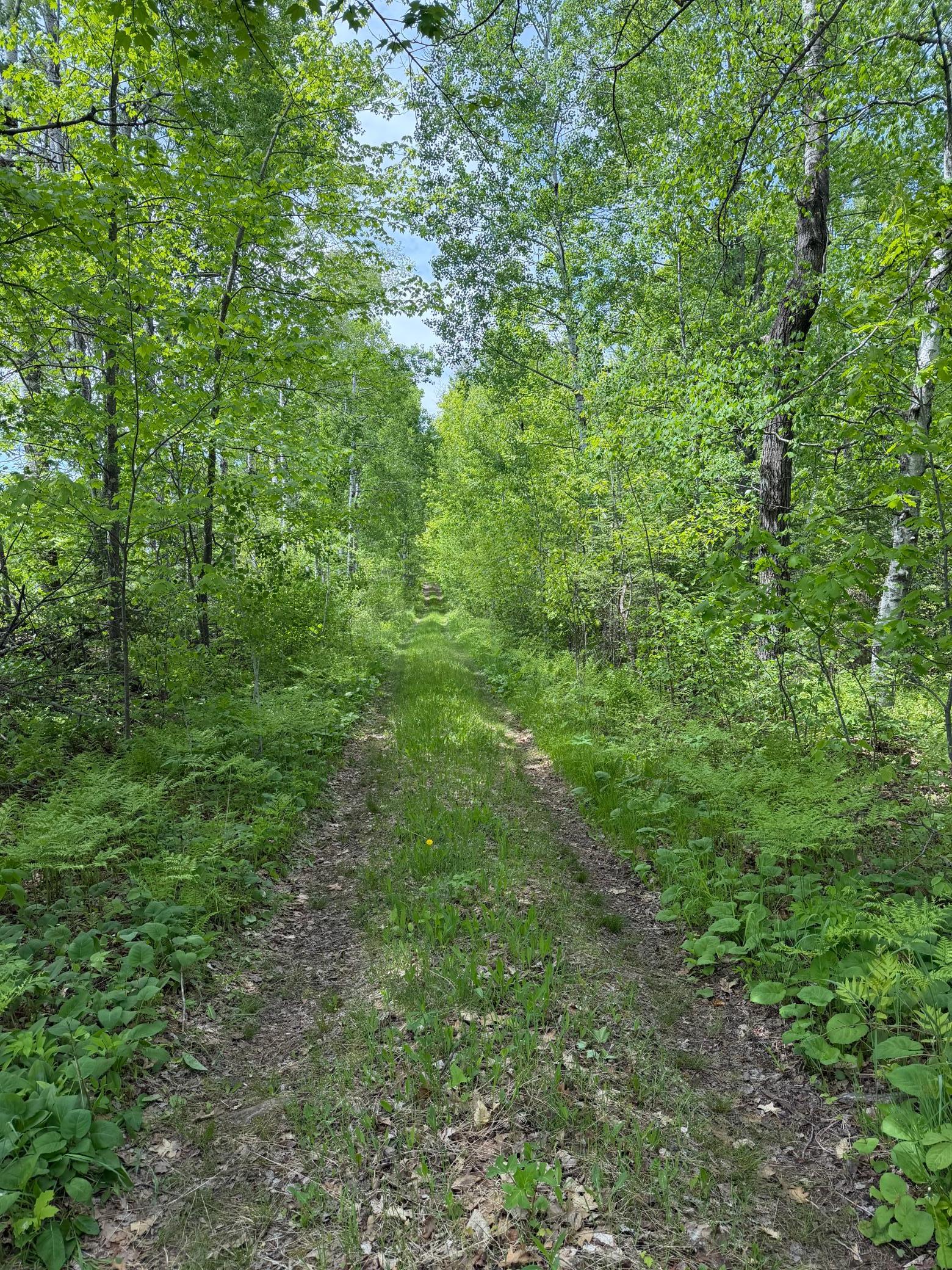 Property photo for TBD Range Line Rd, Kerrick, MN 55756