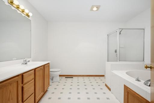 Large primary bath with separate shower and tub; skylight for natural light