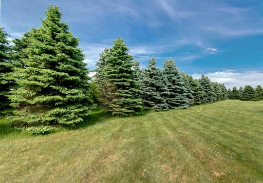 XXXX Goodwin Avenue, Hastings, MN 55033