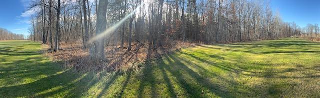 Property Line