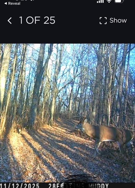 Trail Cam