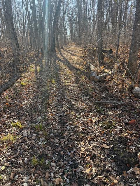 Fall Trail