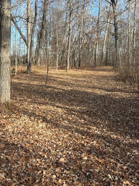 Fall Trail