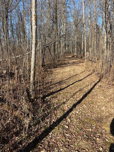 Fall Trail