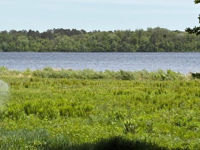 Flowage Lake