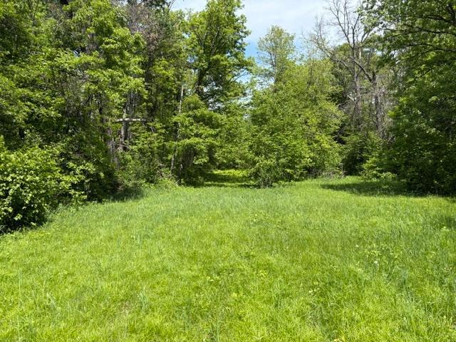 Open Area