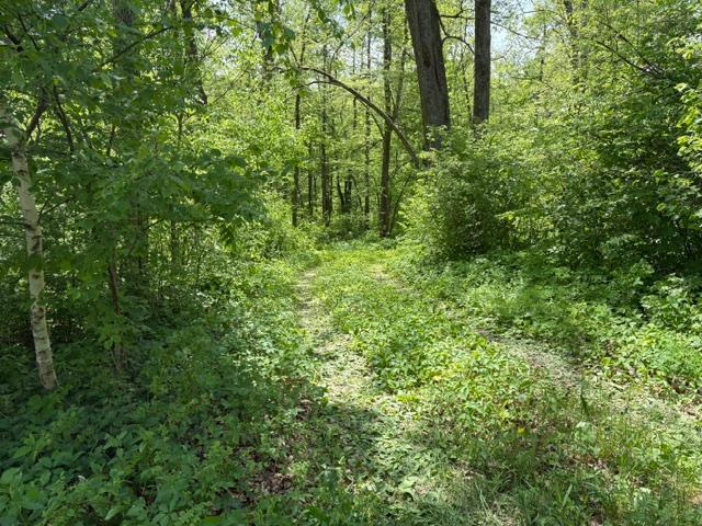 Trail
