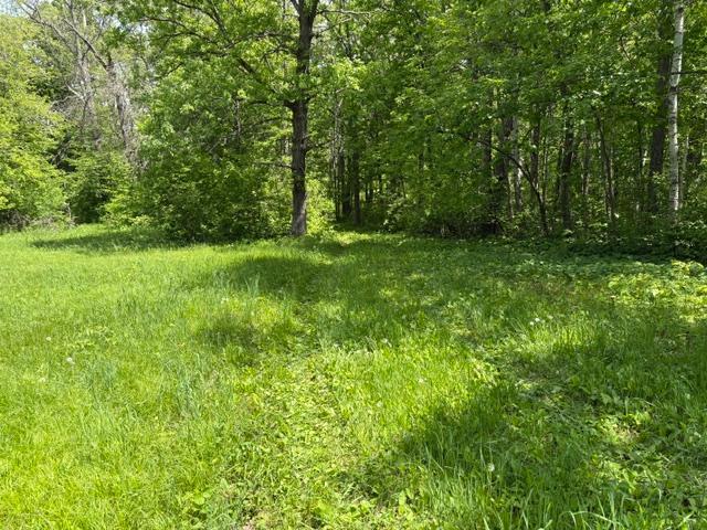 Trail