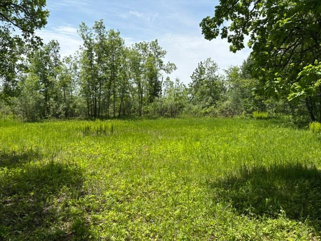 Open Area