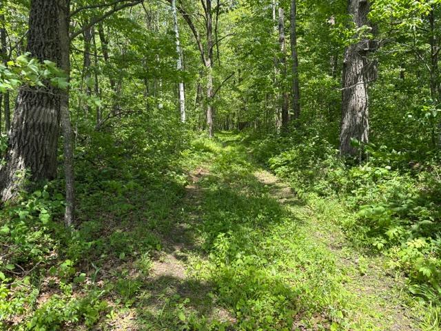 Trail